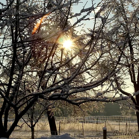 Locker & Legere Otel 4*