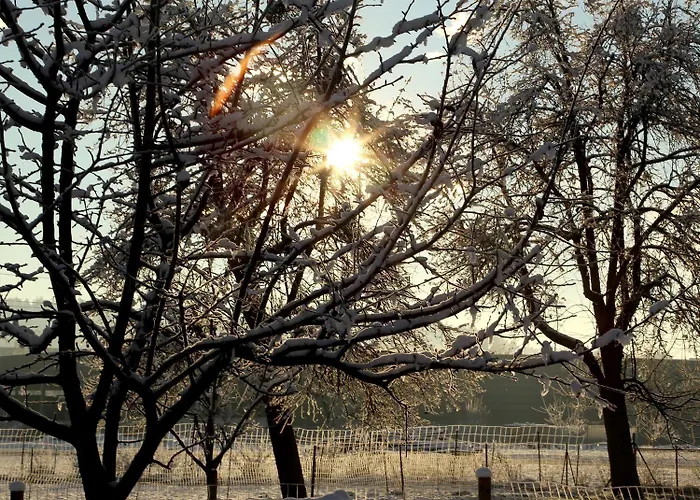 Locker & Legere فندق 4*