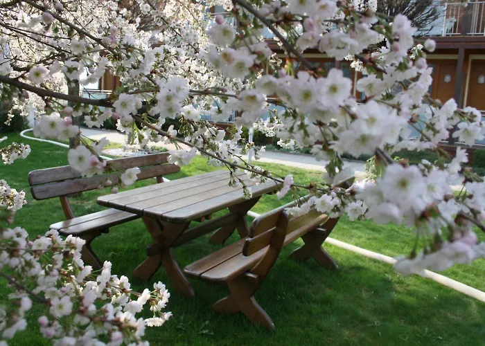 Locker & Legere فندق